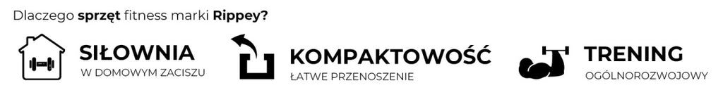KÓŁKO DO ĆWICZEŃ MIĘŚNI BRZUCHA ROLLER RP05 RP05